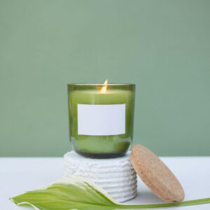 Coconut Apricot Wax